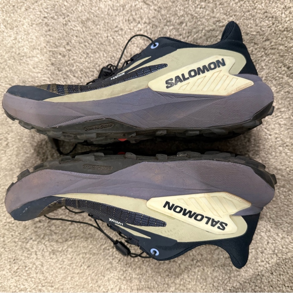 Salomon genesis